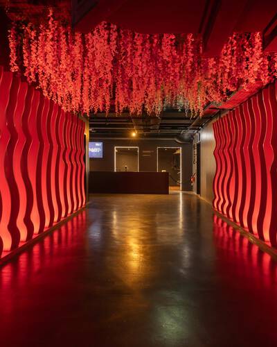 mach1 - Galeriebild mach1 - Galeriebild