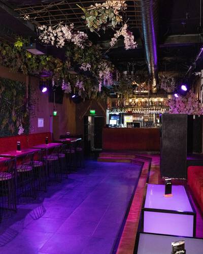 NELSONS - Galeriebild NELSONS - Galeriebild