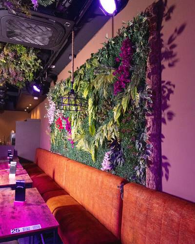 NELSONS - Galeriebild NELSONS - Galeriebild