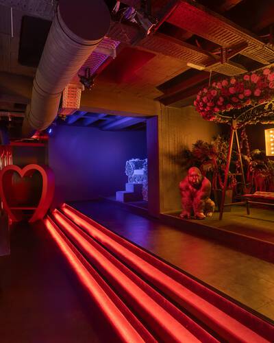 mach1 - Galeriebild mach1 - Galeriebild